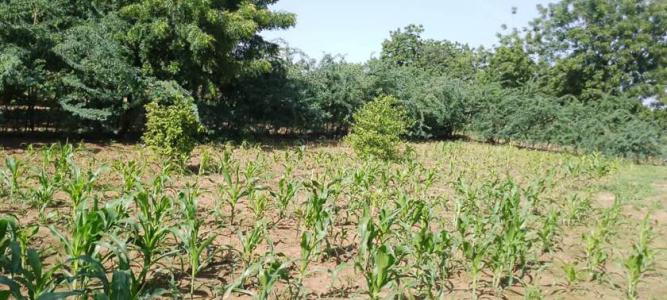 Le jardin de l'école de Moyargo Le jardin de l'école de Moyargo